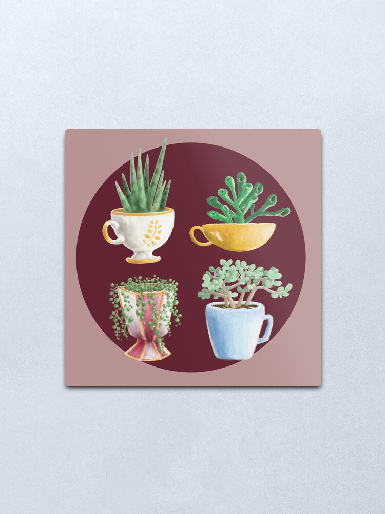 Alternate view of teacup succulents Metal Print