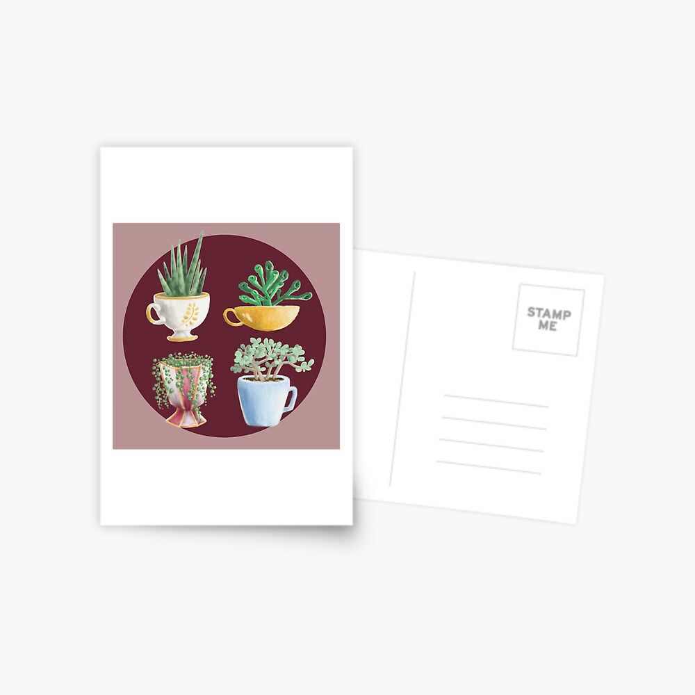 teacup succulents Postcard