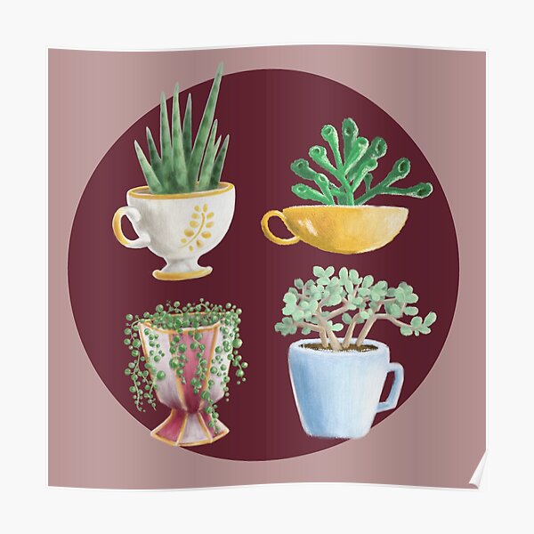 teacup succulents Poster