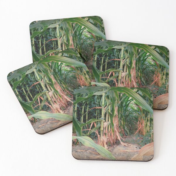 Item preview, Waiting For The Children Of The Corn.... designed and sold by Diane Arndt.