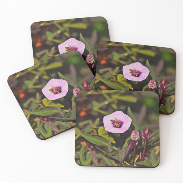 Item preview, A Honey Bee Bee Covered In Pollen Emerging From A Purple Flower Bees designed and sold by Jason Gilbert.