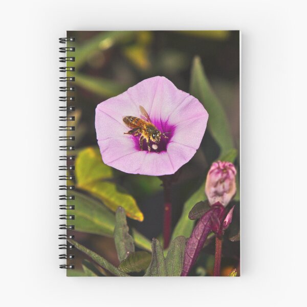 Item preview, A Honey Bee Bee Covered In Pollen Emerging From A Purple Flower Bees designed and sold by Jason Gilbert.