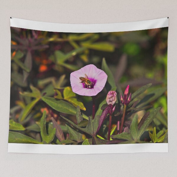 Item preview, A Honey Bee Bee Covered In Pollen Emerging From A Purple Flower Bees designed and sold by Jason Gilbert.
