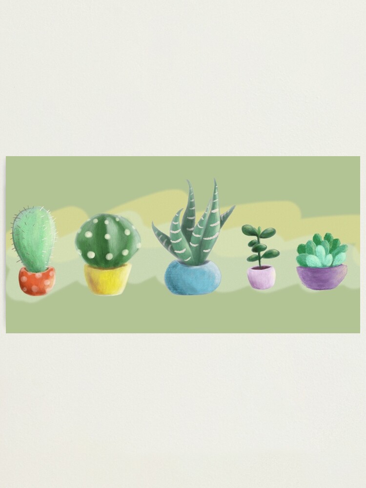 Alternate view of cute cacti Photographic Print