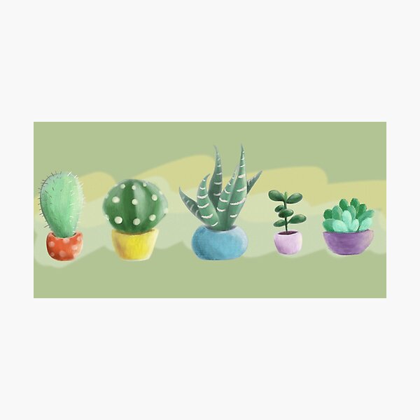 cute cacti Photographic Print