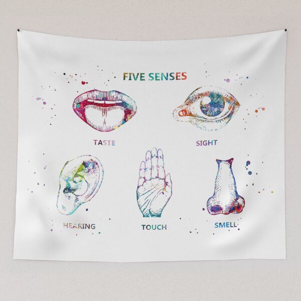 Item preview, The Five Senses designed and sold by EvasDreams.