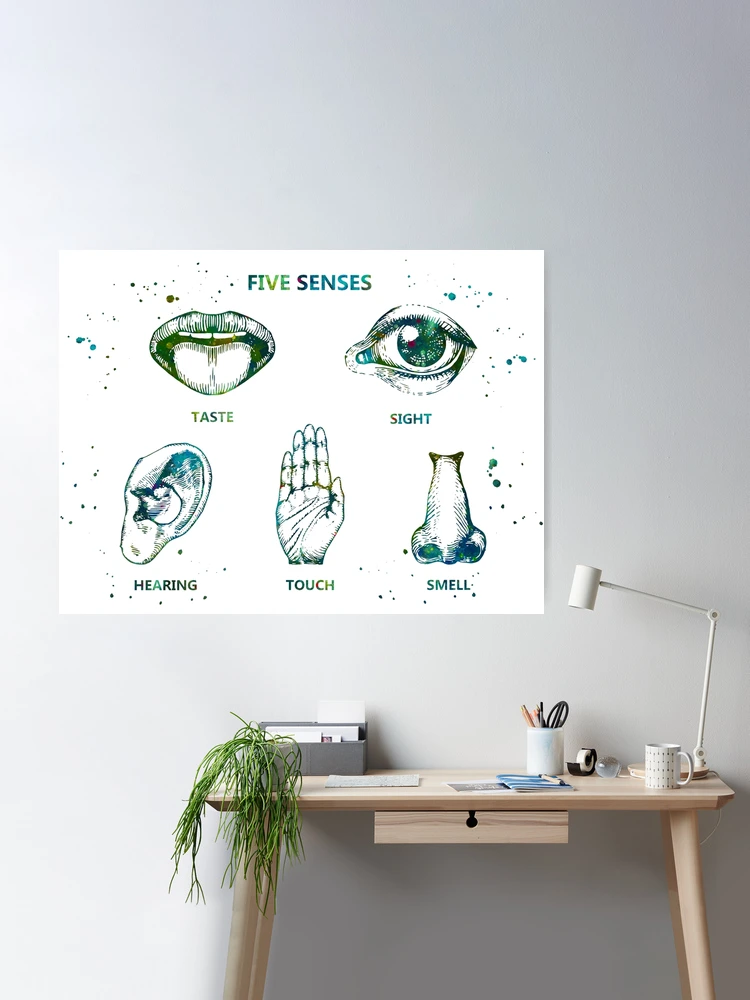 The Five Senses Poster for Sale by EvasDreams