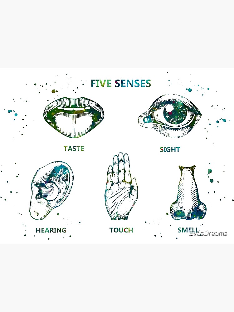 The Five Senses Poster for Sale by EvasDreams