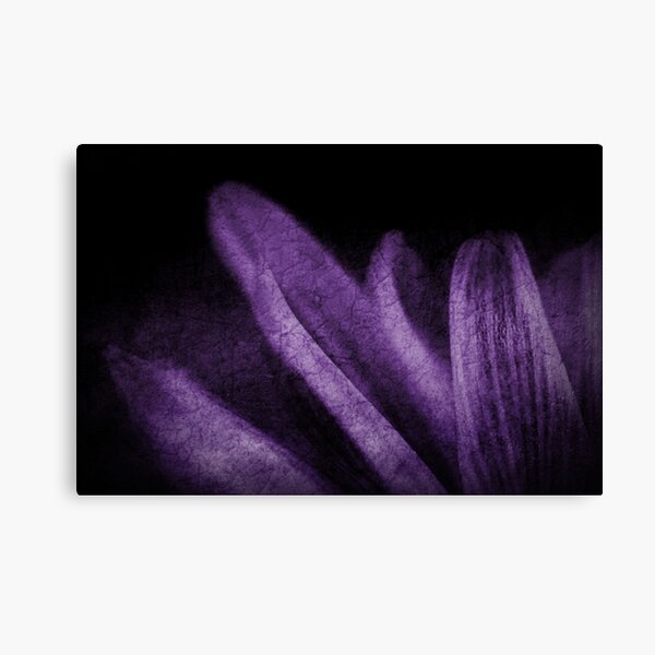 Abstract Petals in Purple Grunge Canvas Print