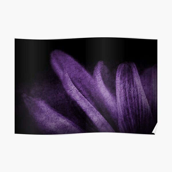 Abstract Petals in Purple Grunge Poster