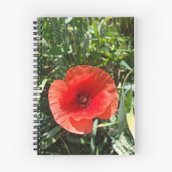Item preview, Poppy Pop designed and sold by itsheartmade.