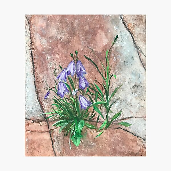 Resilient Photographic Print