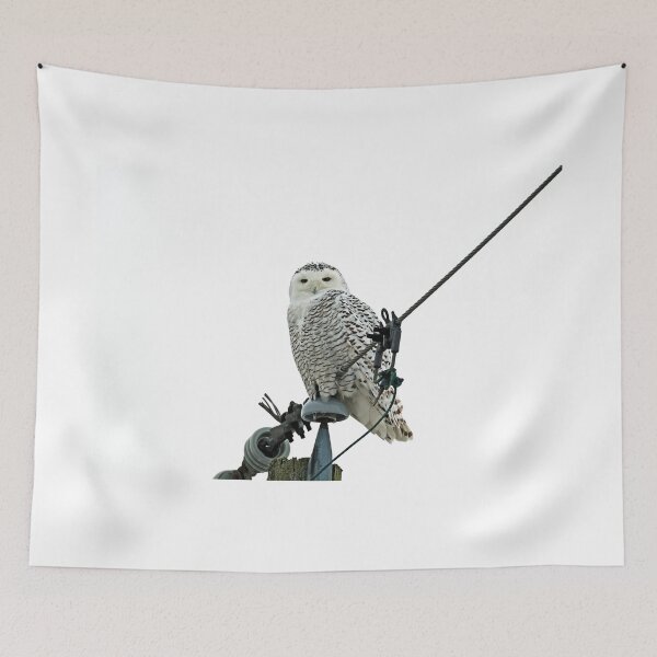 Item preview, She's Got The look designed and sold by Deb Oppermann.