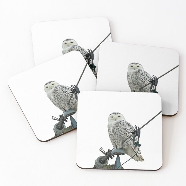 Item preview, She's Got The look designed and sold by Deb Oppermann.
