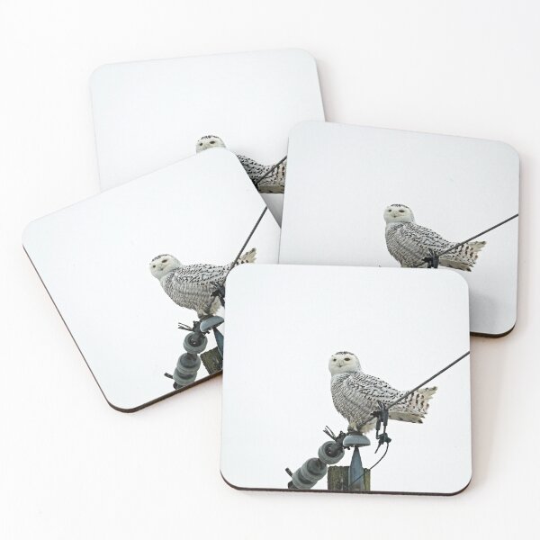Item preview, Flipping The Feathers  designed and sold by Deb Oppermann.