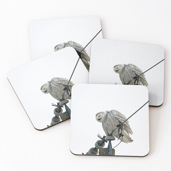 Item preview, Snowy Owl Nod Off designed and sold by Deb Oppermann.