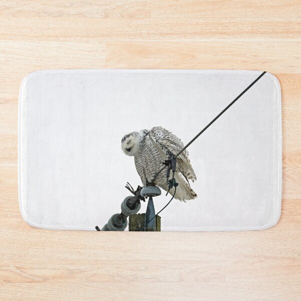 Item preview, Snowy Owl Nod Off designed and sold by Deb Oppermann.