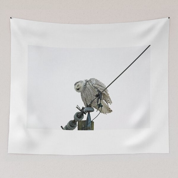 Item preview, Snowy Owl Nod Off designed and sold by Deb Oppermann.