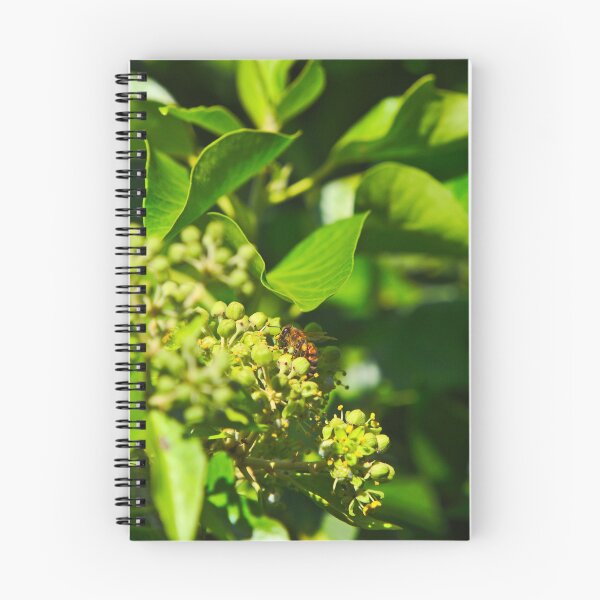 Item preview, A Bee Bee Gathering Pollen On English Ivy Bees designed and sold by Jason Gilbert.