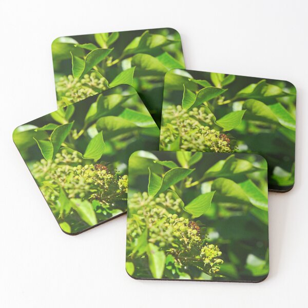 Item preview, A Bee Bee Gathering Pollen On English Ivy Bees designed and sold by Jason Gilbert.