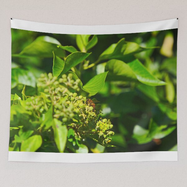 Item preview, A Bee Bee Gathering Pollen On English Ivy Bees designed and sold by Jason Gilbert.