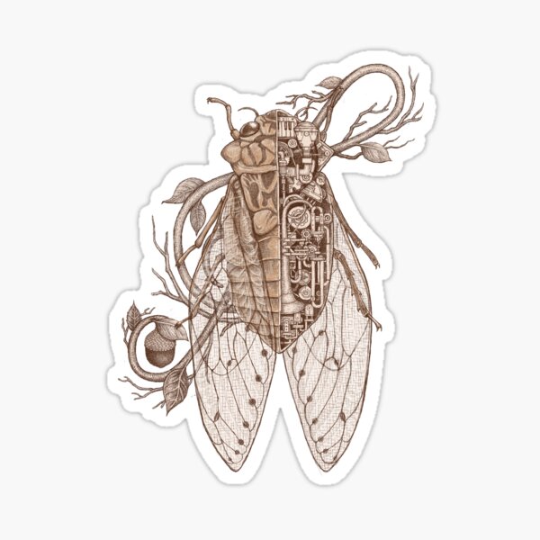 cicada Sticker