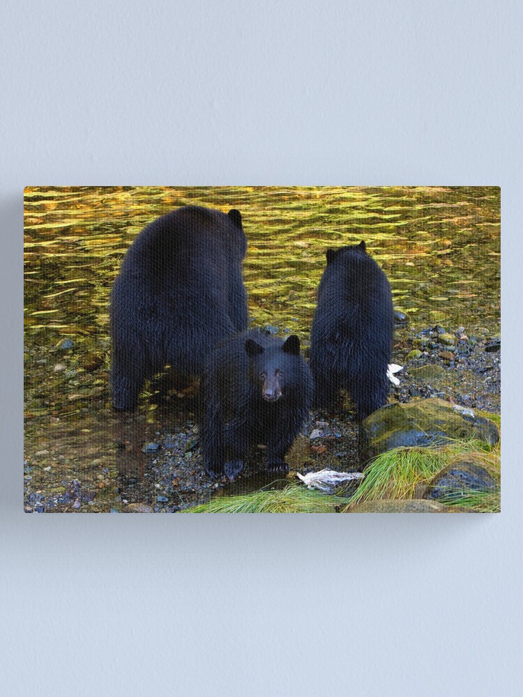Alternate view of "Hey mom, someone's taking our photograph!" Canvas Print