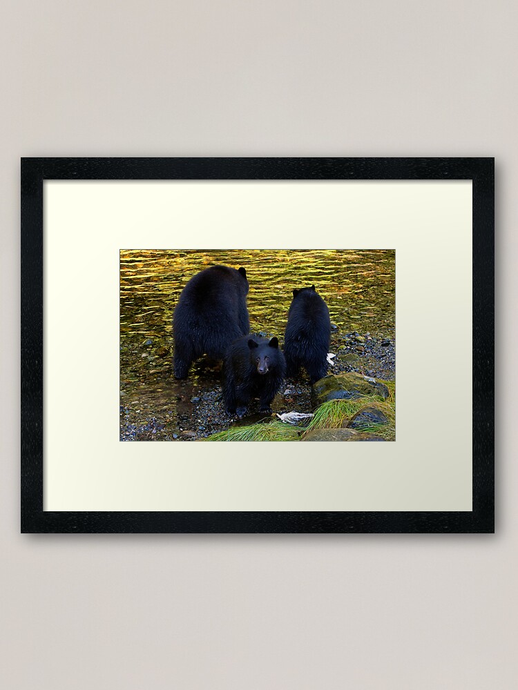 Alternate view of "Hey mom, someone's taking our photograph!" Framed Art Print