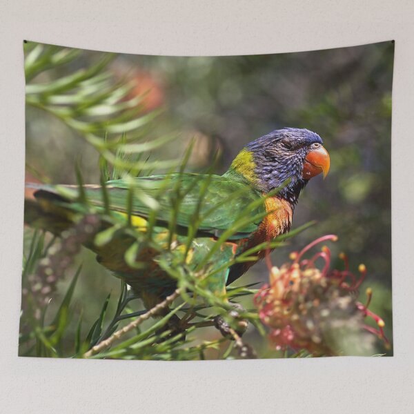 Item preview, Rainbow Lorikeet  designed and sold by Joy Watson - Natural Light Photography .