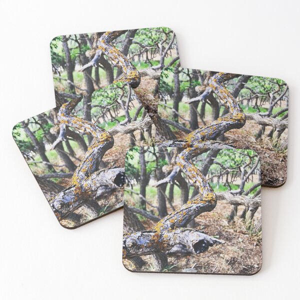 Item preview, Colorado Woodlands designed and sold by bradynjlandrum.