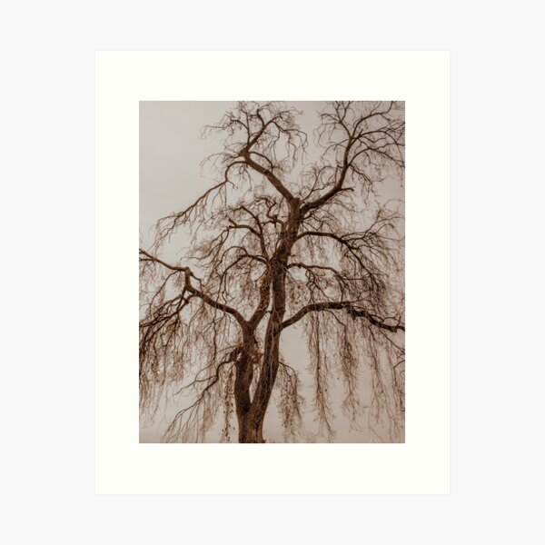 Item preview, Winter Starkness designed and sold by Penny Heighes.