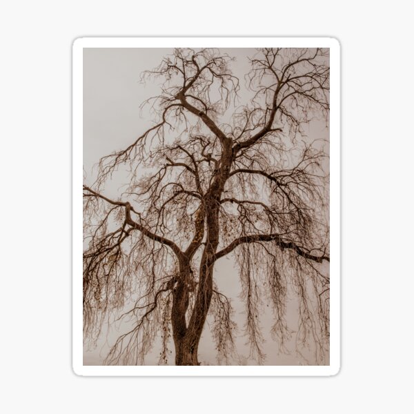 Item preview, Winter Starkness designed and sold by Penny Heighes.