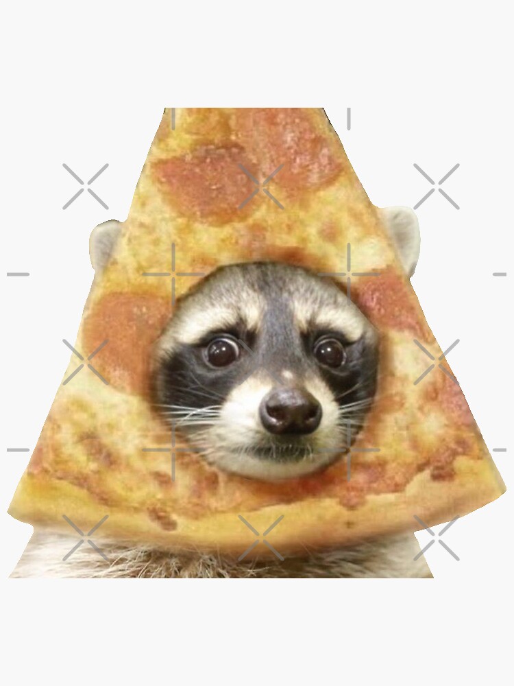 pizza raccoon by artist-toes