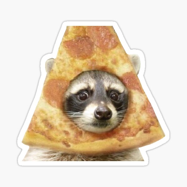 pizza raccoon Sticker