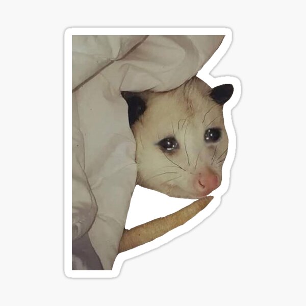 possum crying Sticker