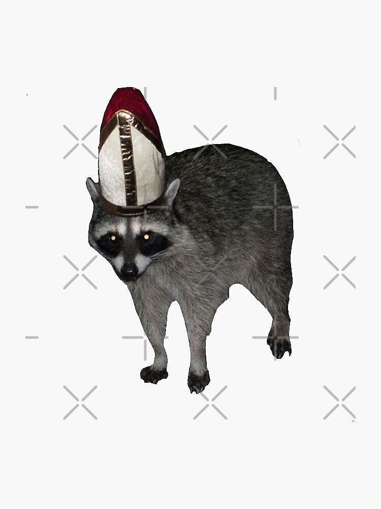 raccoon pope by artist-toes