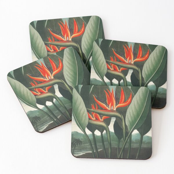 Item preview, Bird of Paradise Robert John Thornton designed and sold by digitalvintage.