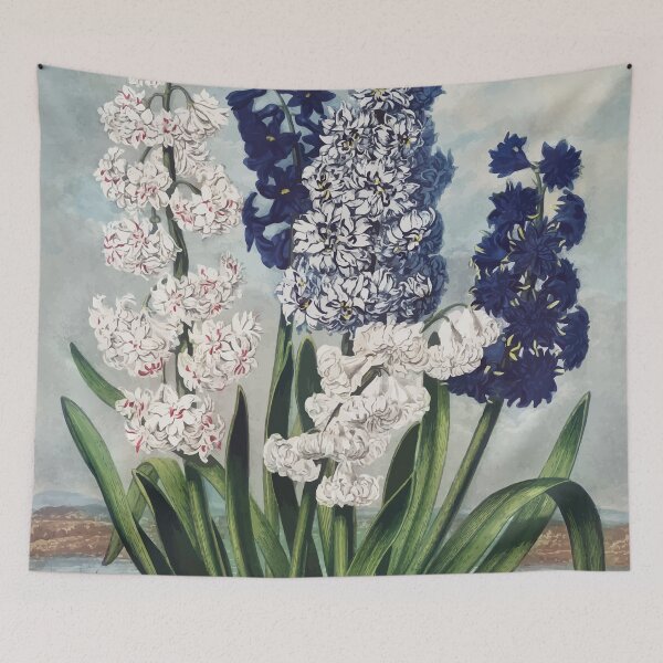 Item preview, Hyacinths The Temple of Flora by Robert John Thornton designed and sold by digitalvintage.