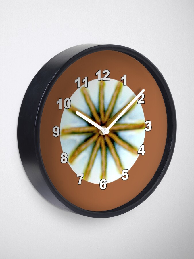 Alternate view of Poppy Pod Silhouette at Dusk - Lunar Opium Photography Clock