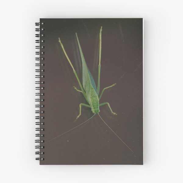 Item preview, Katydid....... designed and sold by DonnaMoore.