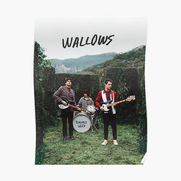 wallows "remember when" poster Poster