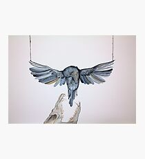 Bait Photographic Print