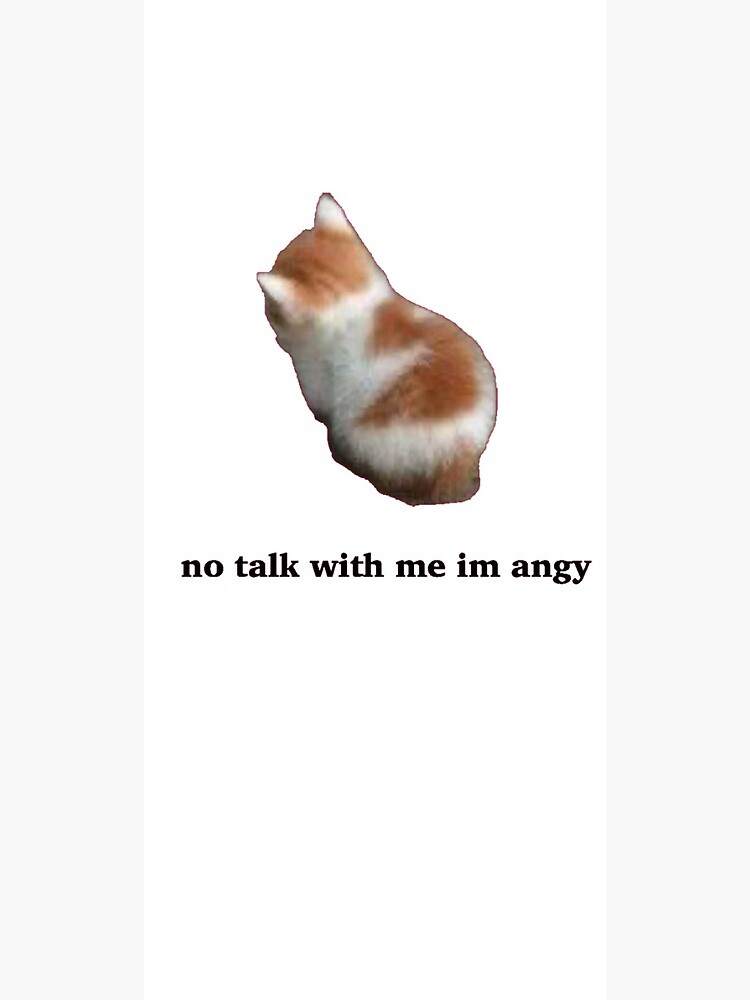 No Talk Me Im Angy // Angry Kitty Meme, Fluffy, Kawaii Art Print