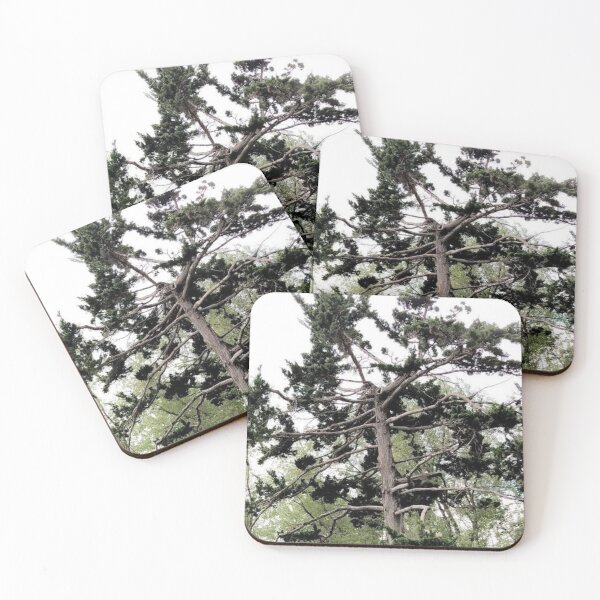 Item preview, Reaching Upward designed and sold by bradynjlandrum.