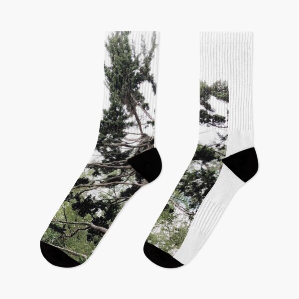 Item preview, Reaching Upward designed and sold by bradynjlandrum.