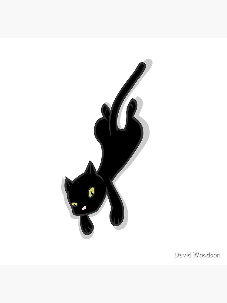 black cat jumping