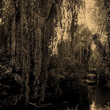 Artwork thumbnail, Water-scape 7 by Roddy Anderson