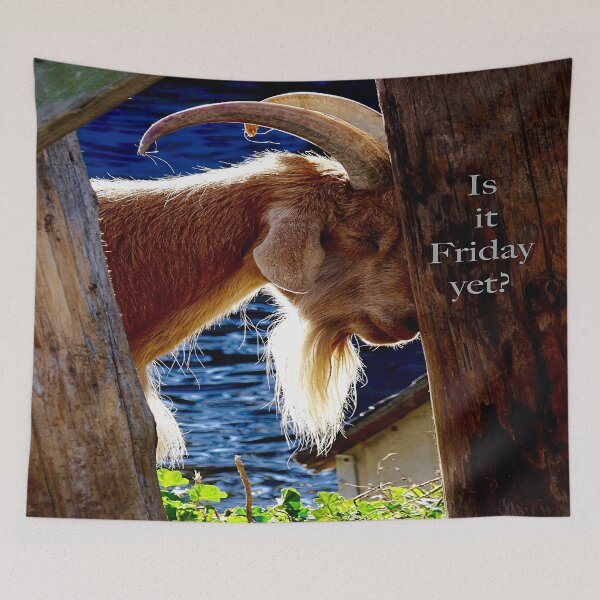 Item preview, Is it Friday yet? designed and sold by BBrightman.