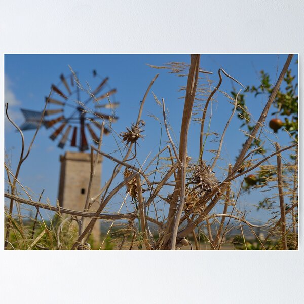 Item preview, Mallorca: windmills and pomegranates designed and sold by phseven.