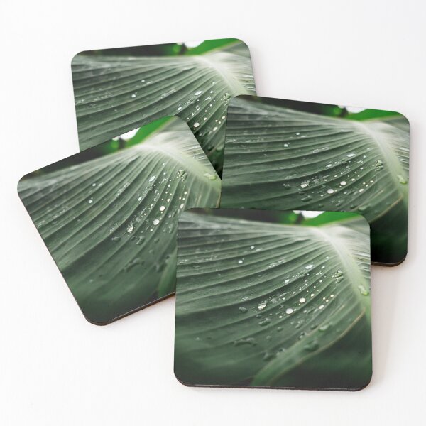 Item preview, Droplet leaf designed and sold by hannahguyer.